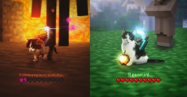 Я обязательно выживу котенок