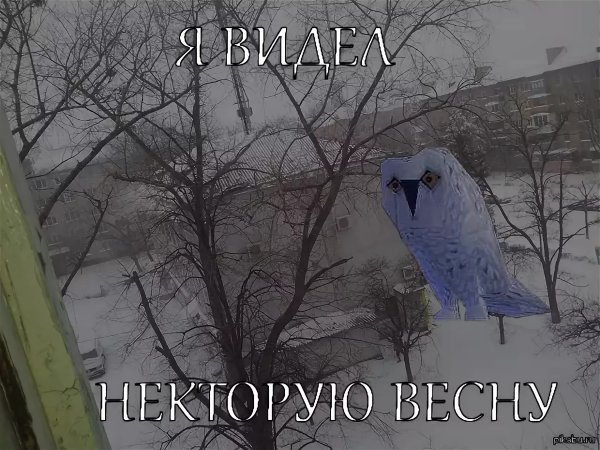 Я видел некоторое дерьмо Мем