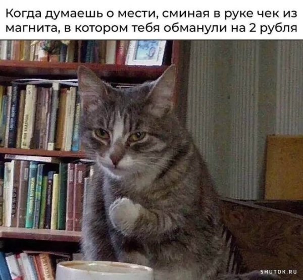 Кот со сжатым кулаком