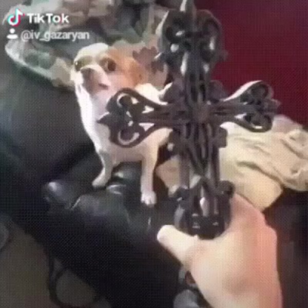 Собачка с крестом