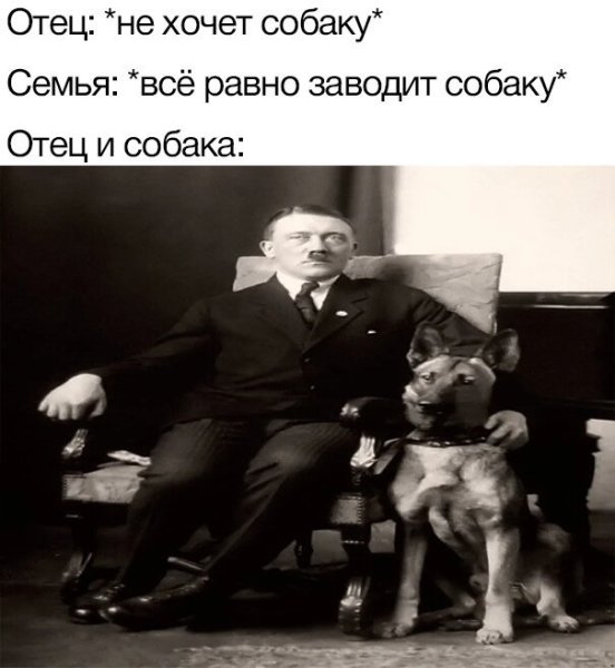 Отец и собака Мем