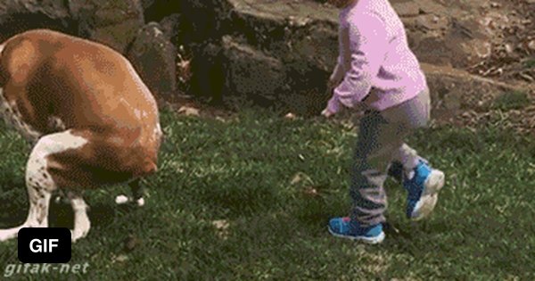 Девочка собака покакала