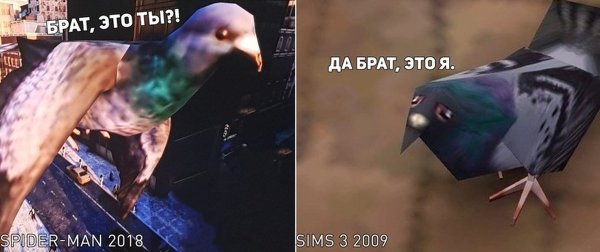 Голубь из игры