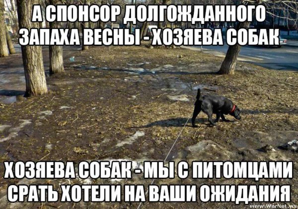 Анекдоты про собак