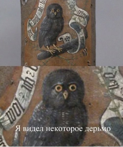 Кот который видел некоторое дерьмо