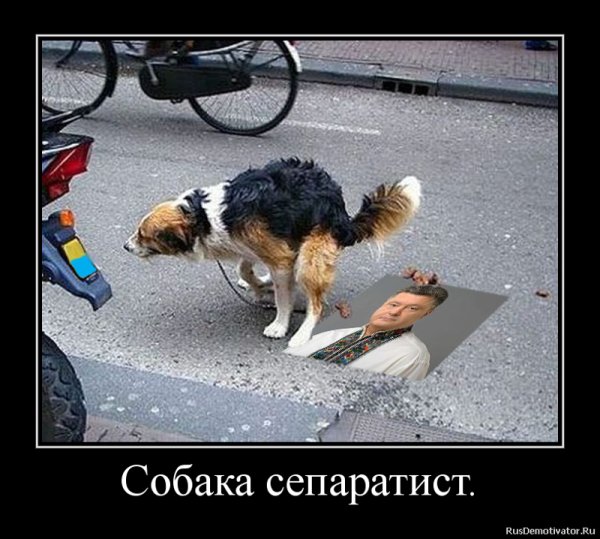 Фигня собачья