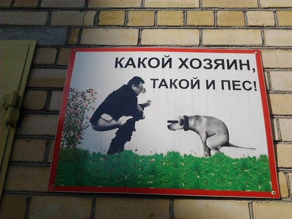 Убирайте за собаками табличка