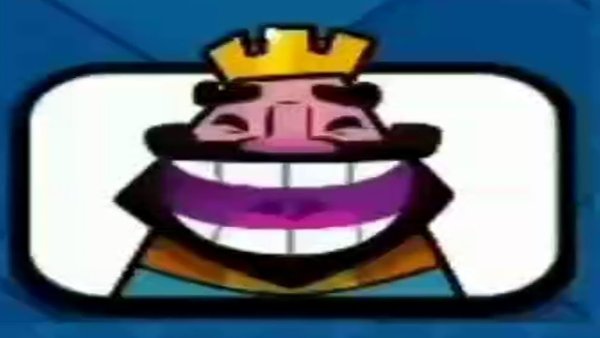 Хихи хаха хехе коты