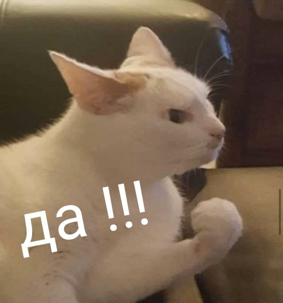 Приемлемо кот