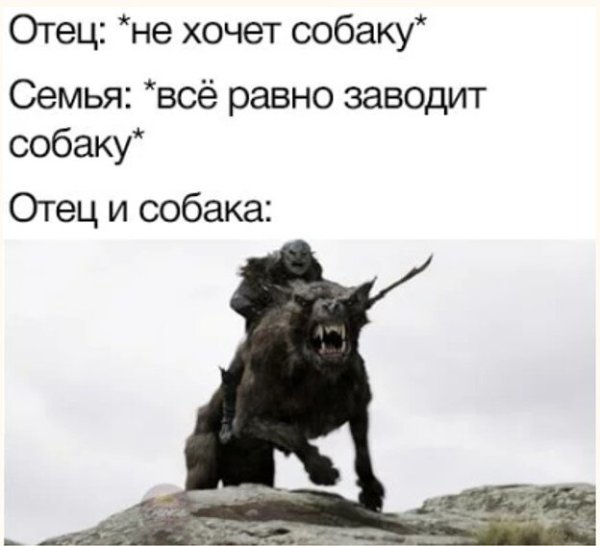 Семья заводит собаку Мем