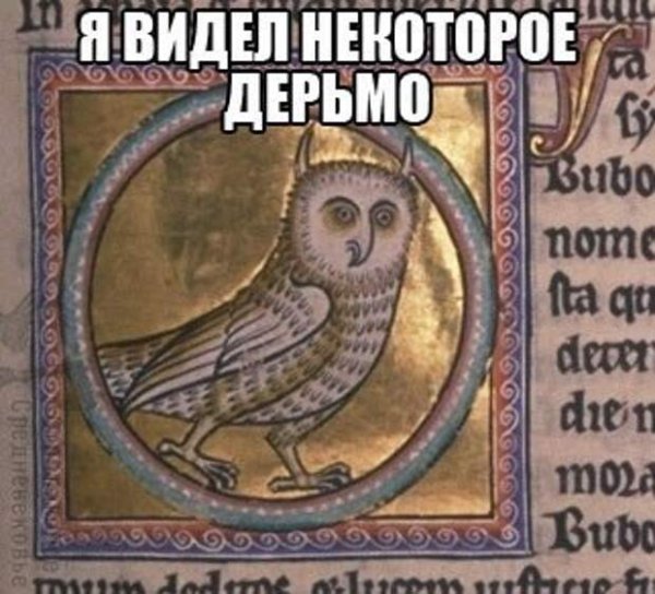 Абердинский Бестиарий Сова