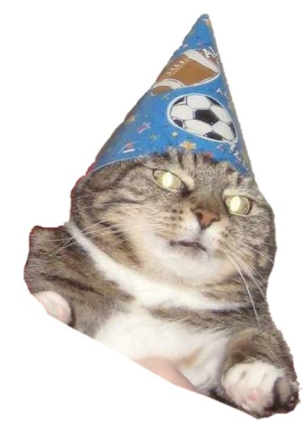 Кот волшебник