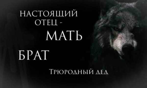 Мемы с волками и Цитатами