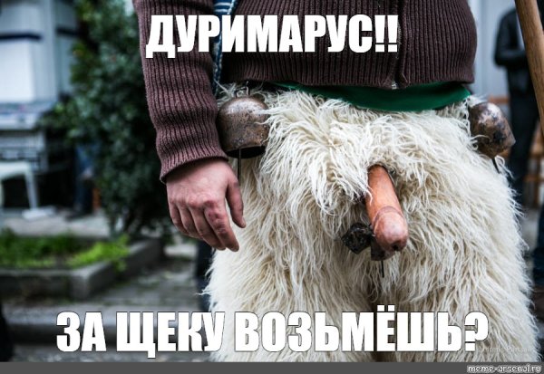 Собака из мема лохматая