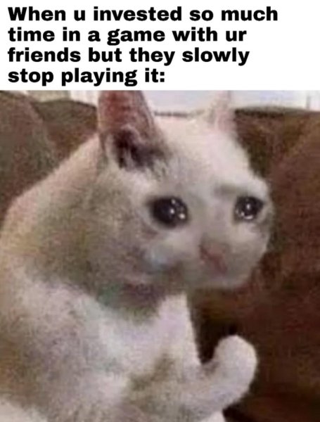 Плачущий кот с лапой