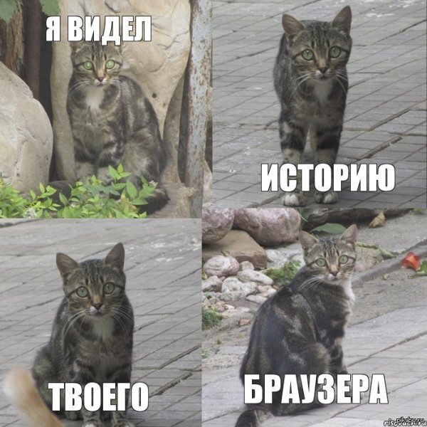 Букля видела некоторое дерьмо