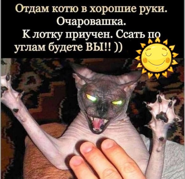 Саться по углам будете вы