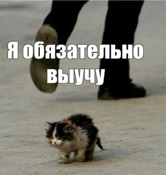 Я оьязательно выживу мум