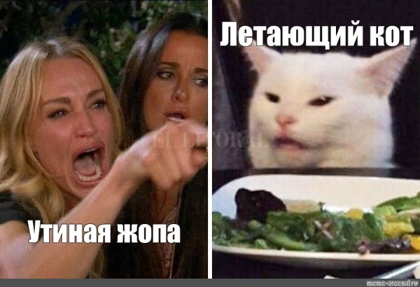 Мем с котом и девушками шаблон