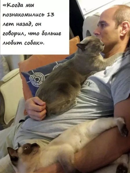 Кот не хочет заводить папу