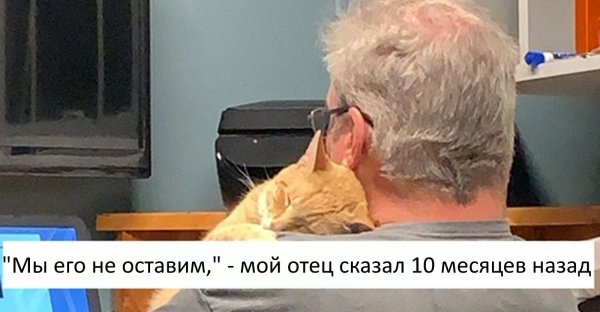 Папа и кот Мем