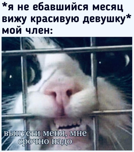 Клетка для кота