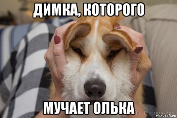 Мемы с собаками без надписей