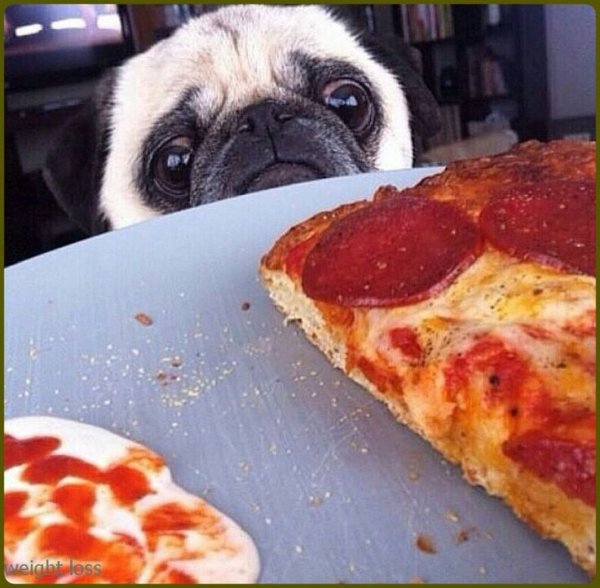 Смешная пицца