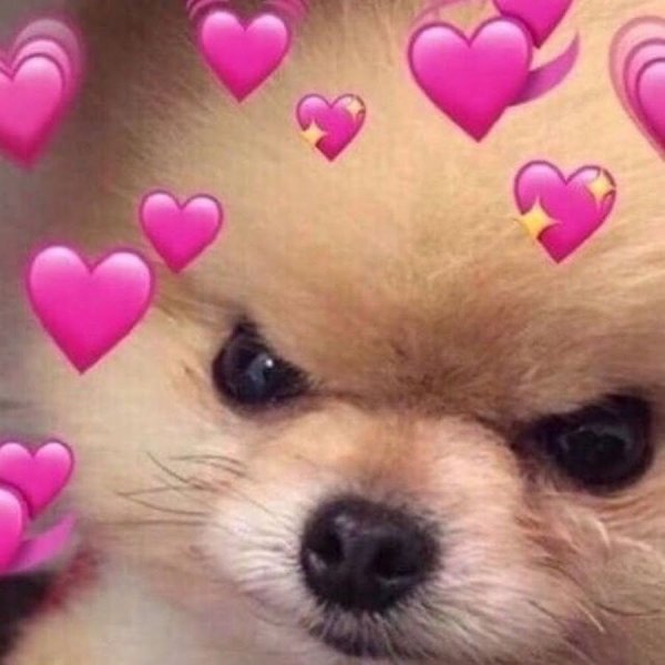 Животные с сердечками