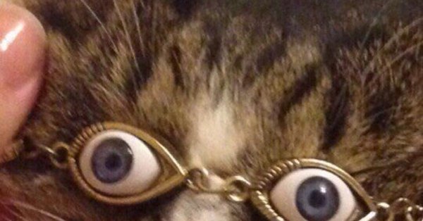 Букля я видел некоторое