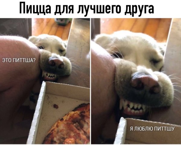 Я люблю питшу Мем