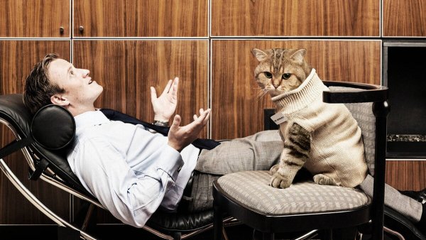 Коты психотерапевты