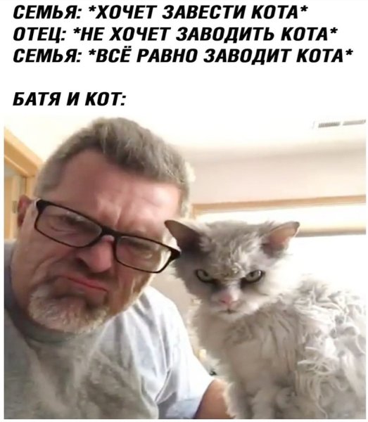 Папа и кот Мем