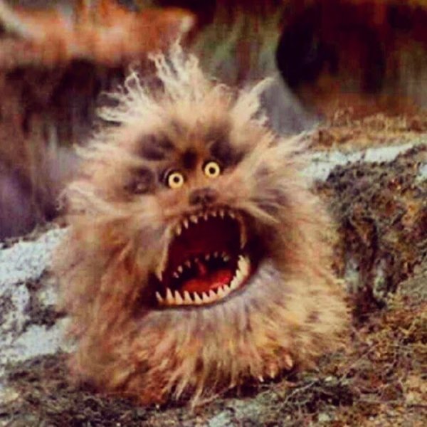 Пушистый монстр