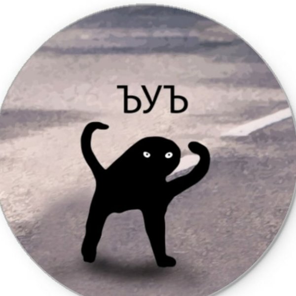 Мем чёрный кот ЪУЪ