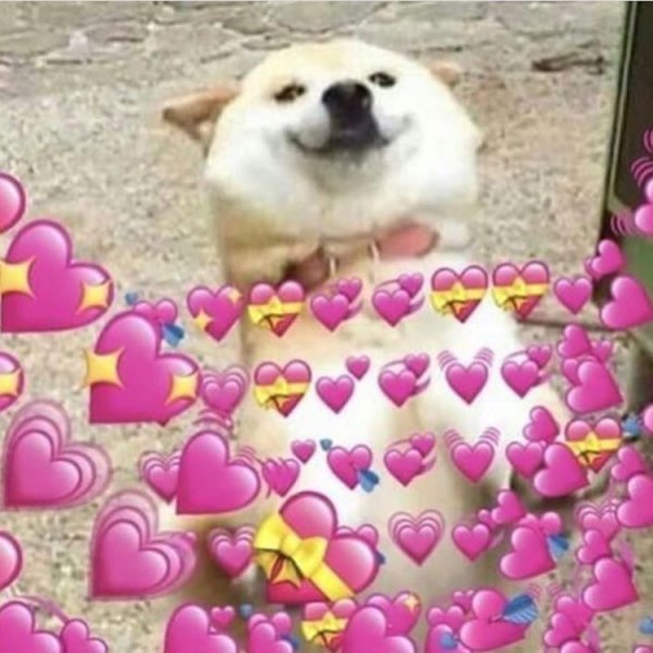 Животные с сердечками