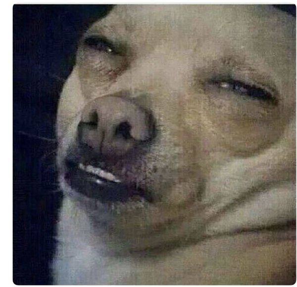 Мемы с собаками