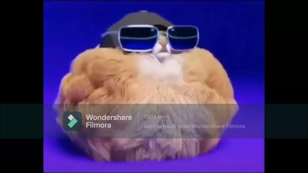 Мохнатая собака флексит