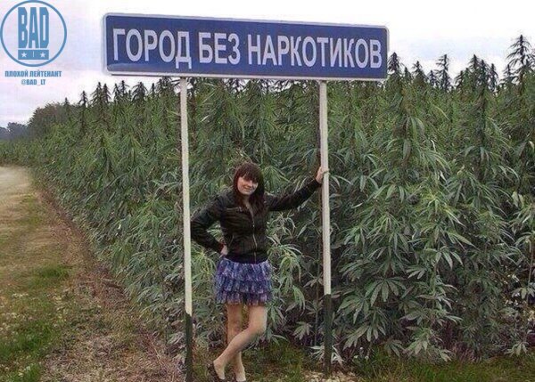 Конопля прикол