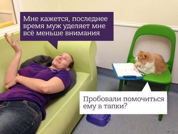 Шутки про психологов