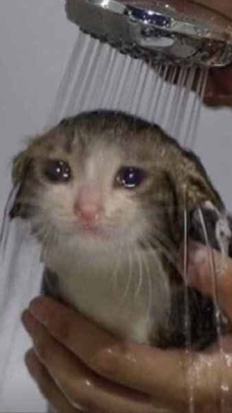 Котик со слезами