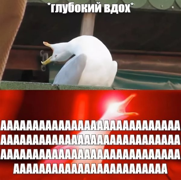 Глубокий вдох а Мем кот