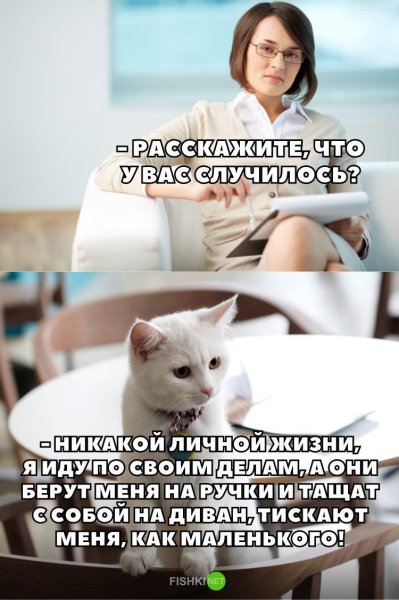 Шутки про психологов смешные