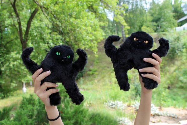 ЪУЪ съука кот