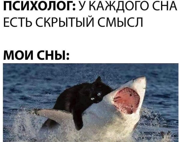 Коротко о моих снах