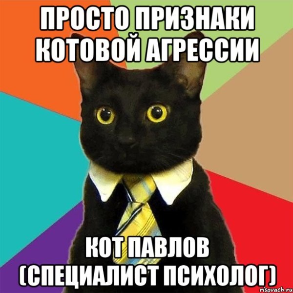 Мемы про психологов