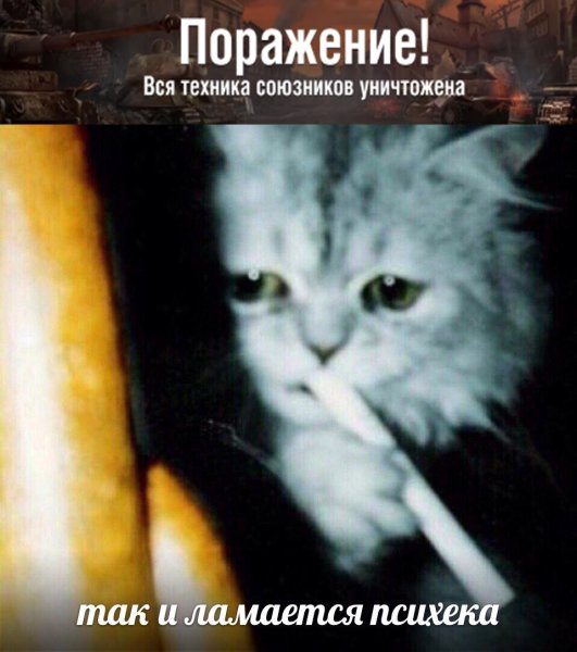 Кот с сигаретой Мем