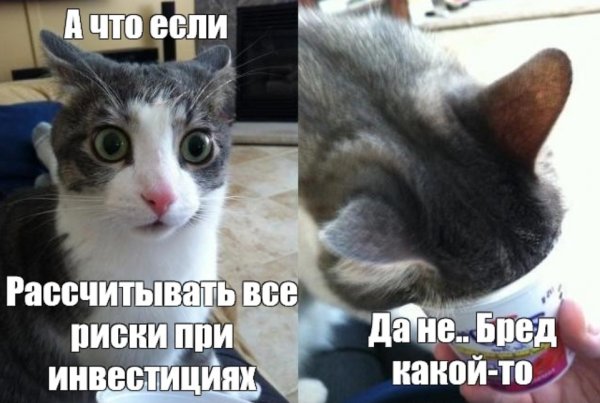 Да не бред какой-то