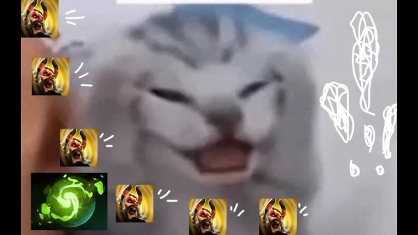 Кот кричит Мем