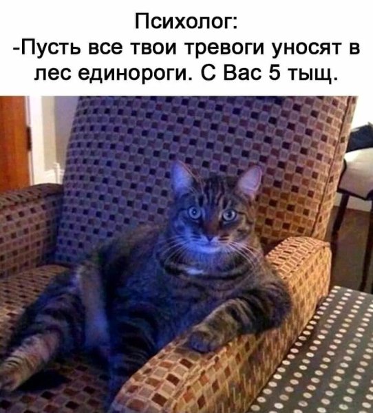 Пусть все твои тревоги уносят в лес Единороги с вас пять тыщ картинка